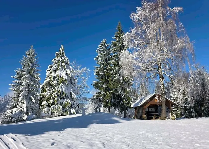 Kopitnik Cosy Holiday home